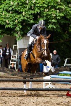 Bild 182 - Reitschule Jan�en Jubil�um